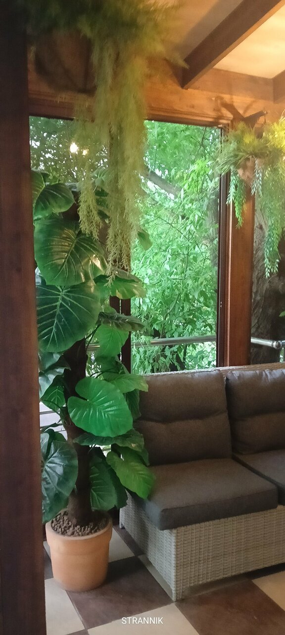 Гостиница Корона Джубга-238