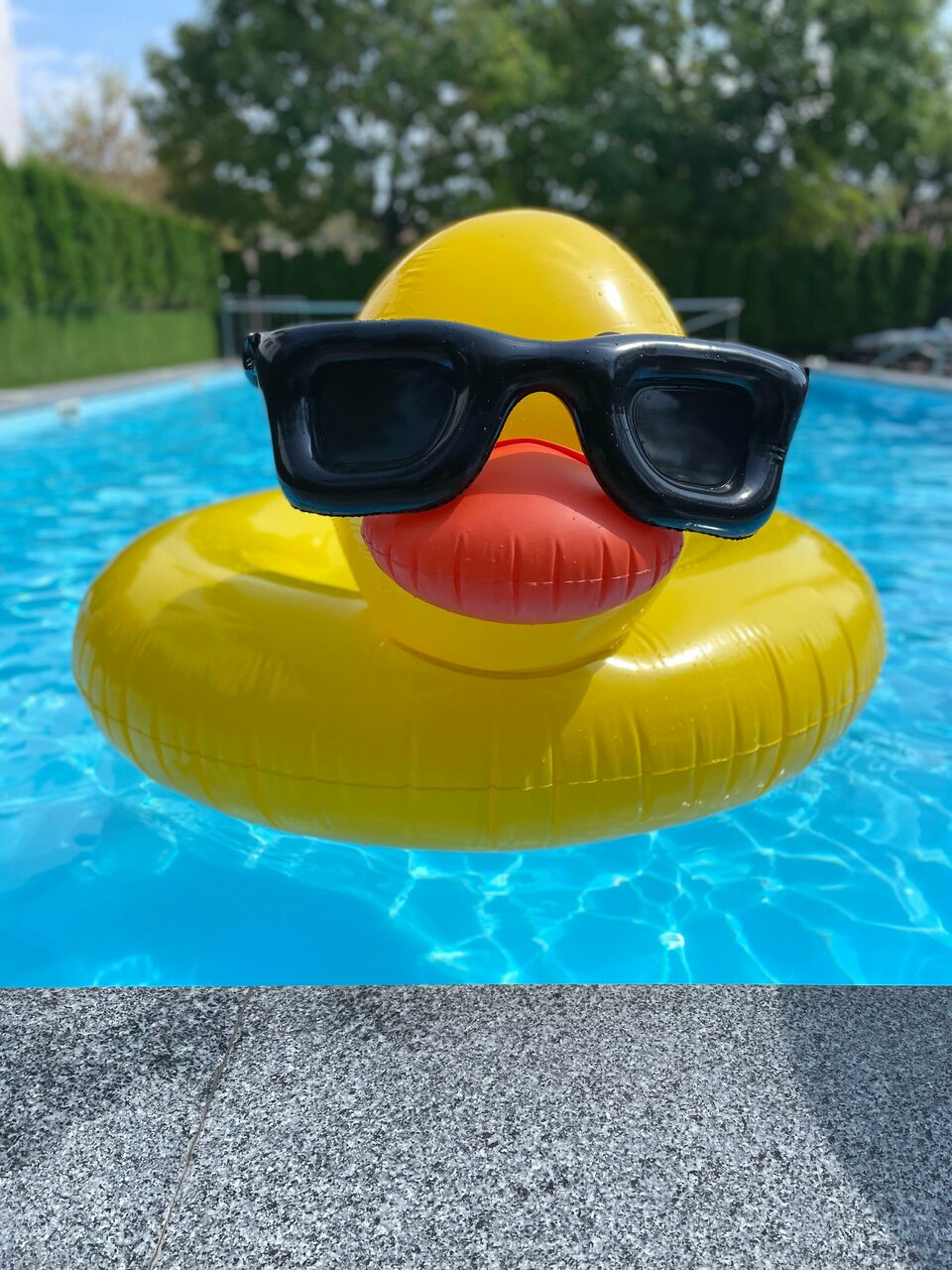 Гостиница Корона Джубга-253