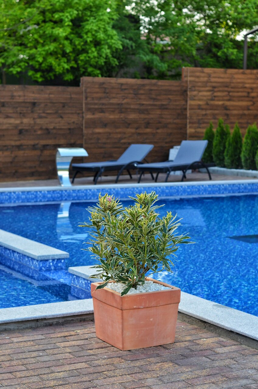 Гостиница Корона Джубга-218