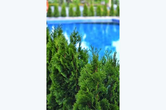 Гостиница Корона Джубга-74